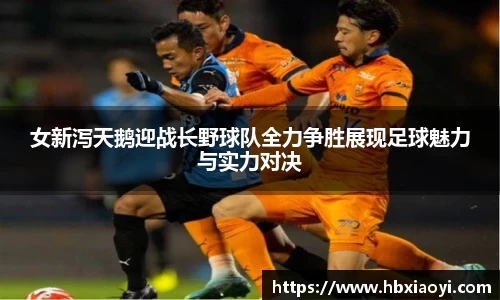 女新泻天鹅迎战长野球队全力争胜展现足球魅力与实力对决