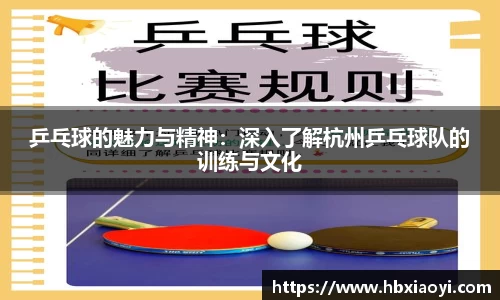 乒乓球的魅力与精神：深入了解杭州乒乓球队的训练与文化