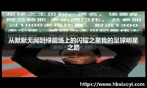 zoty中欧官方网站